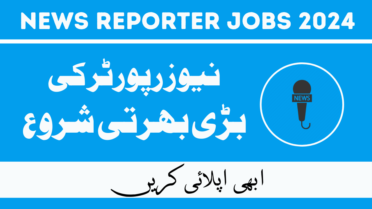 News Reporter Jobs 2024