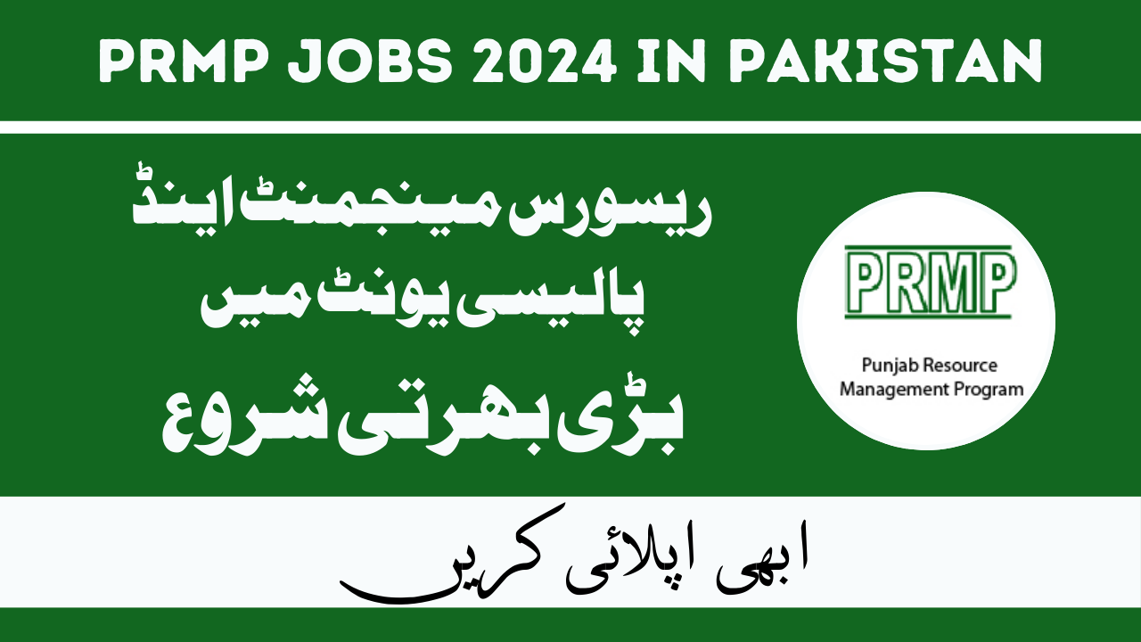 Punjab Resource Management and Policy Unit (PRMP) Jobs Feb 2024