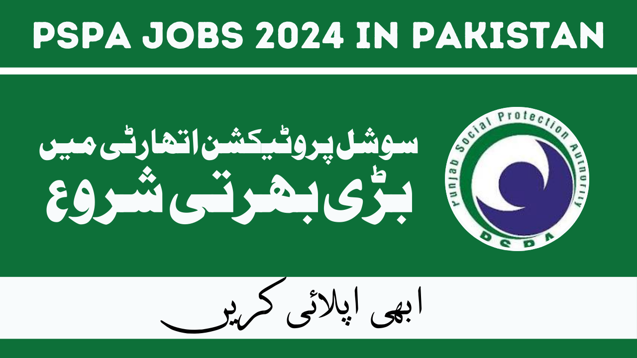 Social Protection Authority Jobs Feb 2024 in Pakistan